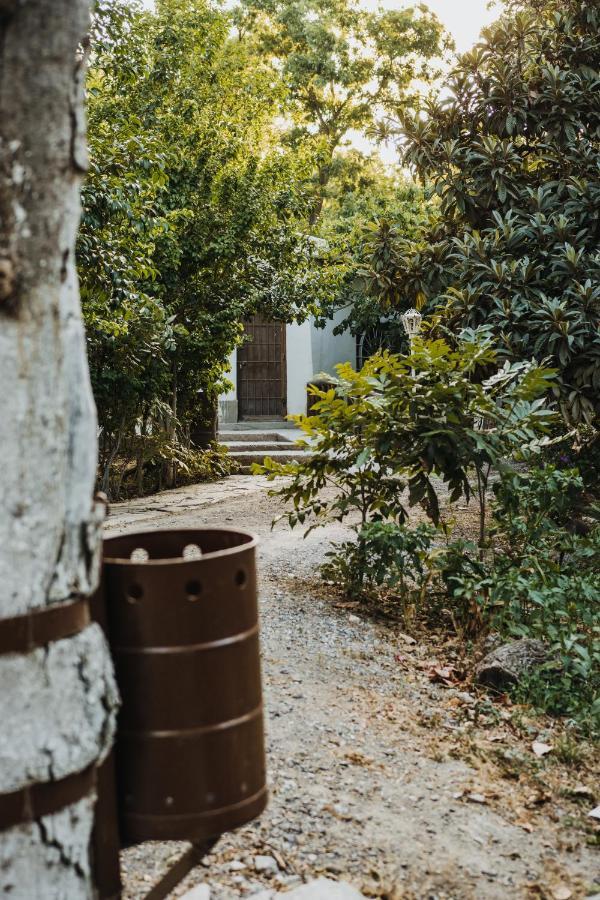 Appartement Casa Campestre Las Ruedas à Parras de la Fuente Extérieur photo